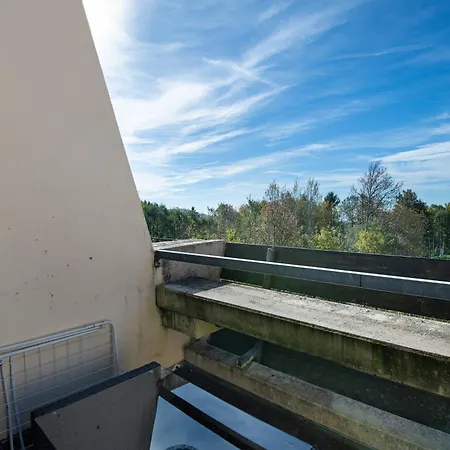 Feuersalamander Apartment